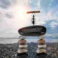 云‍服﻿务​器​如​何​实﻿现‍网‌络​自​动‌切‍换‌功﻿能​